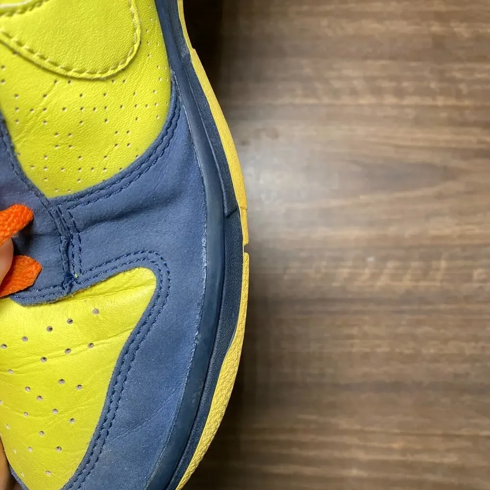 Nike Dunk High Homer Simpson 2009 Yellow Varsity Maize Size 10.5 317982-772